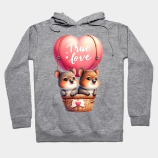 Valentine Mouse Couple On Hot Air Balloon Hoodie